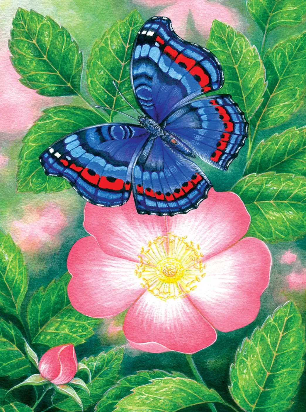 SunsOut Vlinderpuzzels>: Blue Butterfly (1000) Vlinderpuzzel