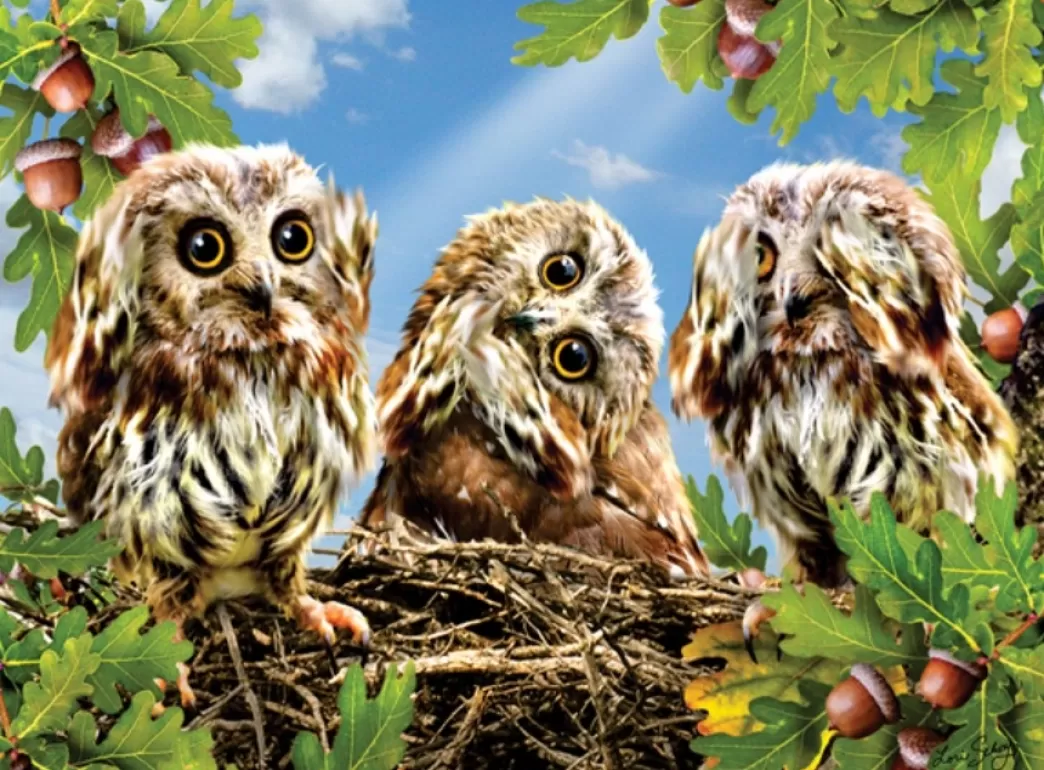 SunsOut Vogelpuzzels>: Hear No, Speak No, See No (300Xl) Legpuzzel