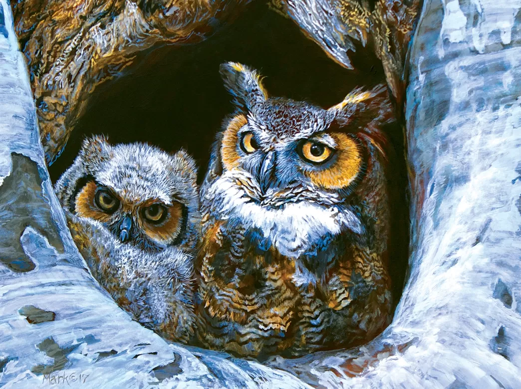 SunsOut Vogelpuzzels>: Mom And Baby (500) Uilenpuzzel