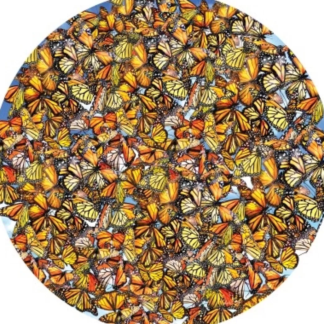 SunsOut Vlinderpuzzels>: Monarch Frenzy (1000) Ronde Puzzel