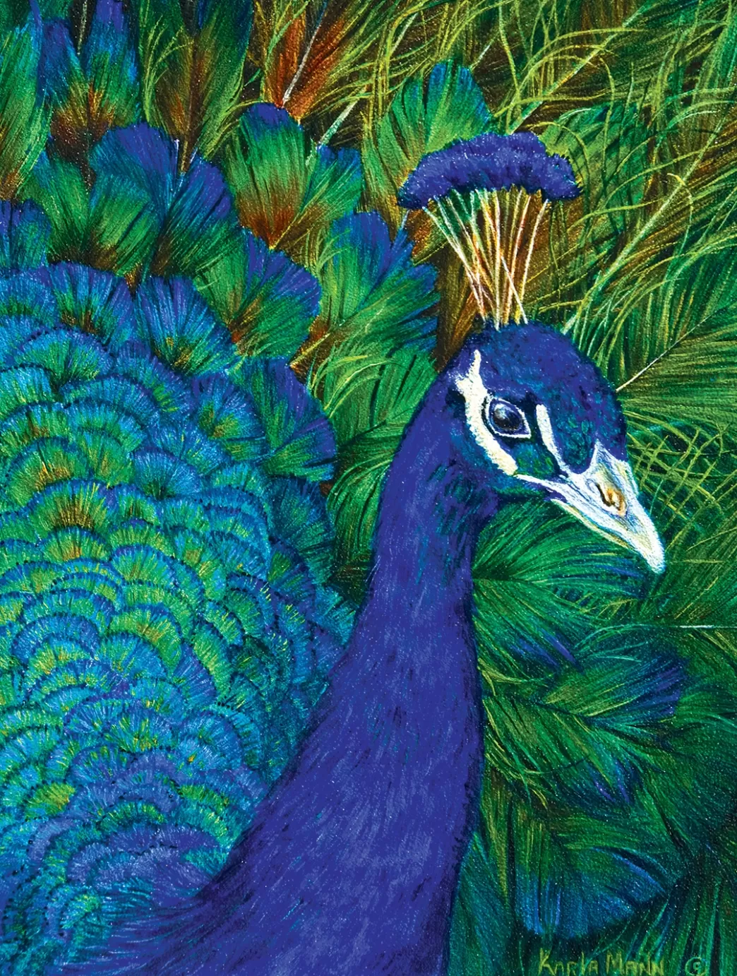 SunsOut Vogelpuzzels>: Peacock (1000) Verticale Puzzel