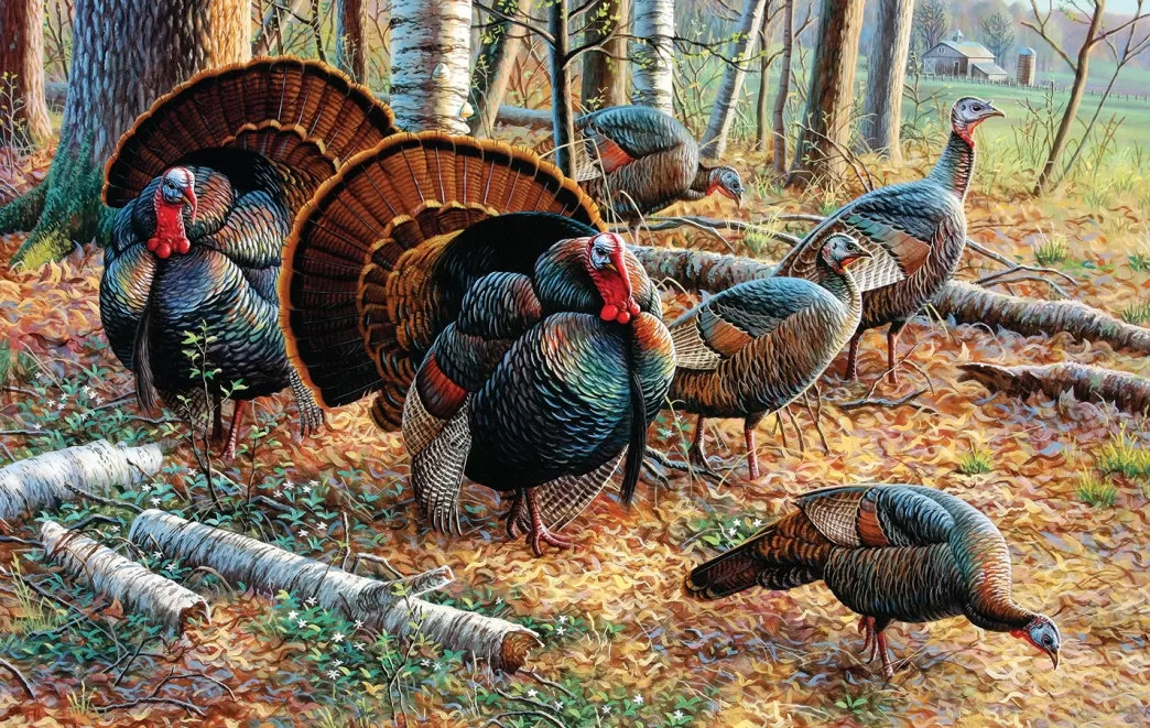 SunsOut Vogelpuzzels>: Spring Strut (500) Vogelpuzzel