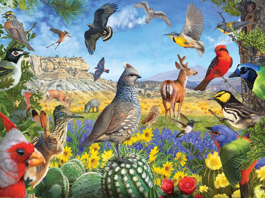 SunsOut Vogelpuzzels>: Texas Birds (1000) Vogelpuzzel
