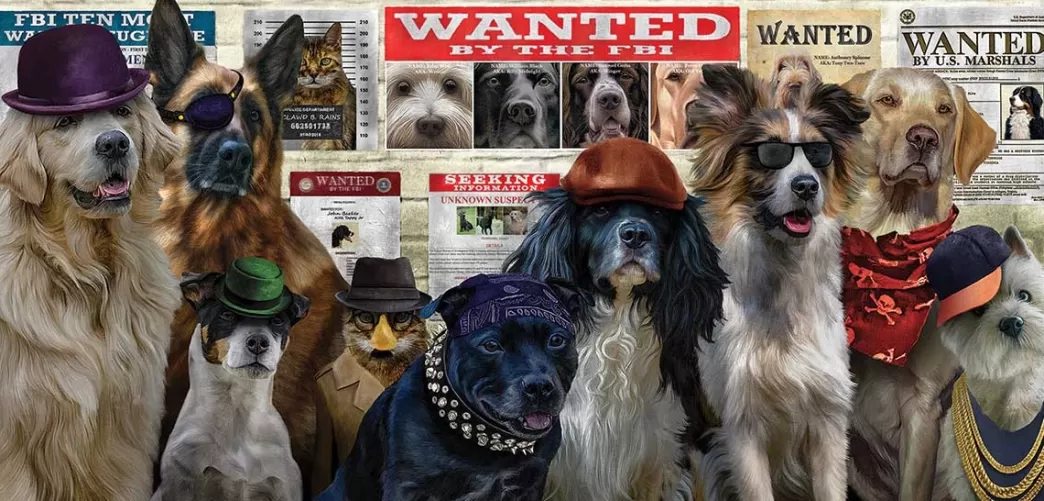 SunsOut Hondenpuzzels>: The Usual Suspects (1000) Hondenpuzzel