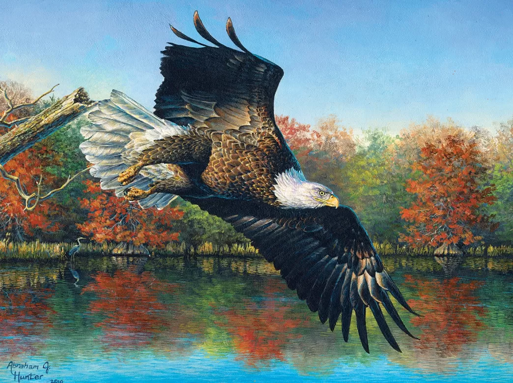 SunsOut Vogelpuzzels>: Wetlands Eagle (1000) Vogelpuzzel