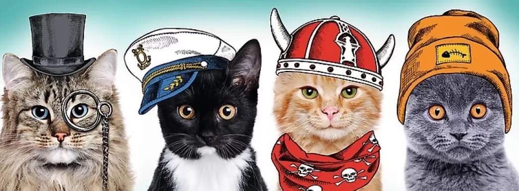 Trefl Kattenpuzzels>: Fluffy Team (500) Panorama Kattenpuzzel