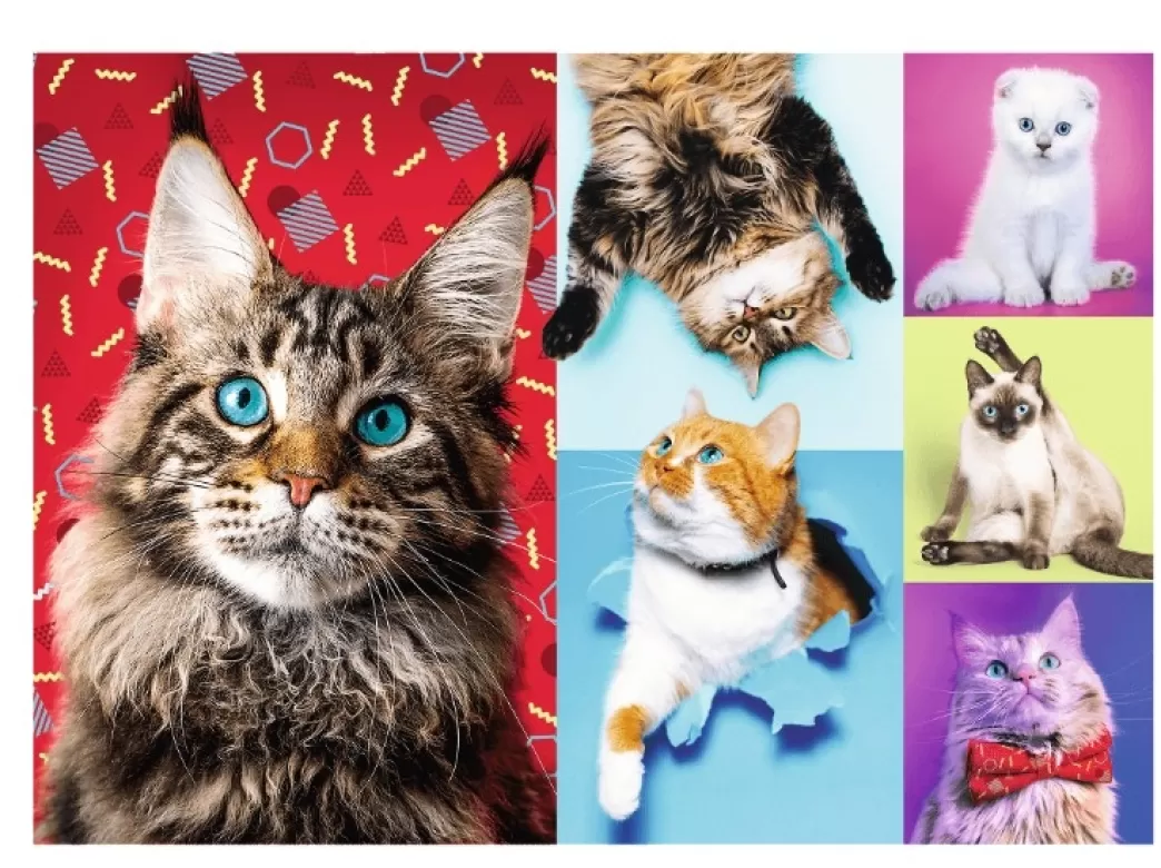 Trefl Kattenpuzzels>: Happy Cats (1000) Kattenpuzzel